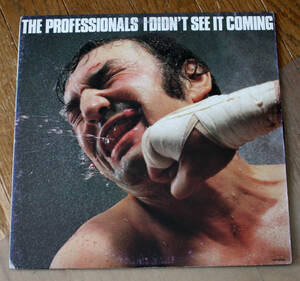 日本盤 The Professionals - 炸裂 I Didn't See It Coming / LP / Punk, Sex Pistols, パンク