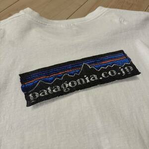 激レア ビンテージ Patagonia パタゴニア 日本限定Tシャツ Sサイズ　benefical T 古着 クルーネック 