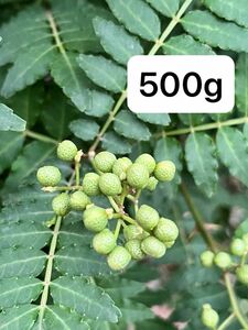 山椒の実　500g