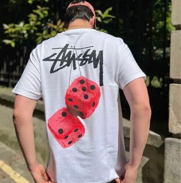 stussy 【新品】Tシャツ　フラワー