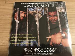 新品★送料無料★LONE CATALYSTS★ DUE PROCESS FEAT. RUBIX, TALIB KWELI★7インチ