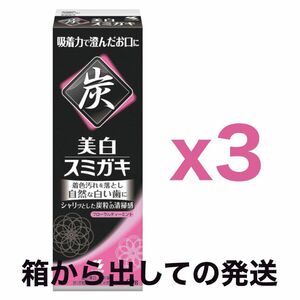 【箱から出しての発送・３個セット】小林製薬 美白 スミガキ 90g｜炭配合歯磨き粉