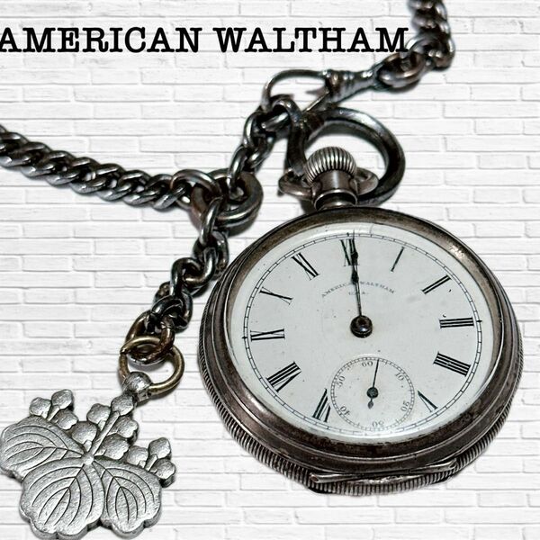 WALTHAM ウォルサム STERLING スターリング USA セーフティーピニオン 懐中時計 ヴィンテージ 院道鐵 アメリカ