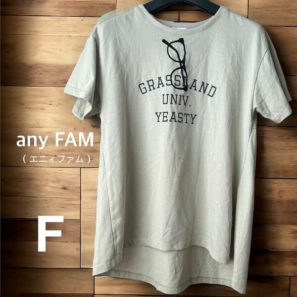 any FAM （エニィファム）オンワード樫山　レディース　トップス　Tシャツ　フリーサイズ 半袖Tシャツ