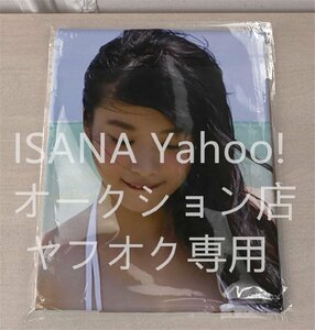 1 jpy start / horse place .../160×50cm/2way tricot / Dakimakura cover 