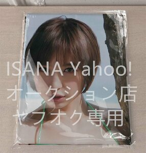 1 иен старт / Shinoda Mariko /90cm×45cm/2way tricot / Dakimakura покрытие 