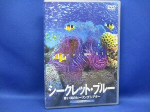 DVD「シークレット・ブルー 青い海のヒーリングシアター SECRET BLUE」　101238