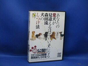 　　DVD-BOX ★ あなたの愛犬が見違えるほどいい子になる森田流犬のしつけ法 森田誠のしつけ法 5枚組　101222