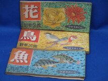 ひかりのくに昭和出版刊 花の観察図鑑+鳥、魚　3冊セット　62819_画像1
