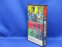 【VHS 】 歓びの毒牙　ダリオ・アルジェント　デビュー作　日本語字幕　希少レア　イタリア映画　72606_画像2