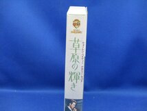 草原の輝き　字幕版　ナタリー・ウッド　VHS　ウォーレンベイティー/32305_画像2