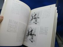 デッサンの基礎技法 (デッサン技法 1) 　ウェンドン・ブレーク , 蟹瀬 誠一訳,美術出版社1981102514_画像4