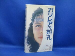 VHSビデオ/未DVD化「ガリレアの婚礼」日本語字幕/1987年/カラー/ミシェル・クレイフィ(監督)　10318