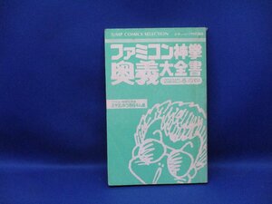 ファミコン神拳 奥義 大全書 巻の四 ドラゴンクエストⅡ 悪霊の神々』集英社　カバー欠　/30711