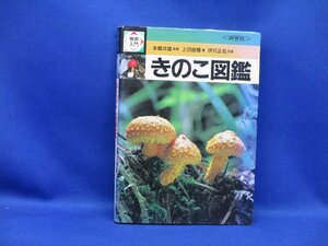 きのこ図鑑／上田俊穂(著者) 保育社　52102