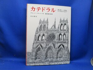 カテドラル 最も美しい大聖堂のできあがるまで／デビッドマコーレイ【作】，飯田喜四郎【訳】　　91319