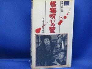 「怪猫呪いの壁」VHSビデオ 勝新太郎 浦路洋子 近藤美恵子 舟木洋一　62225