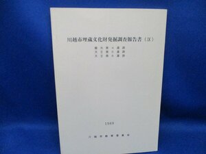 川越市埋蔵文化財発掘調査報告書9 埼玉県/1989 龍光遺跡天王遺跡 木製品　石塔婆