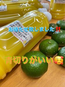 沖縄県産青切りシークヮーサー果汁100%500ml 3本セットペットボトル　大宜味県産100%