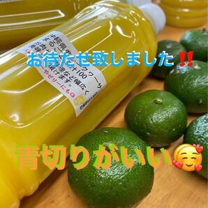 沖縄県産青切りシークヮーサー果汁100%500ml 3本セットペットボトル　大宜味県産100%