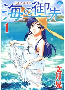 海の御先 全15巻完結セット (白泉社) レンタル・漫画喫茶落ち 全巻セット 中古 コミック　漫画