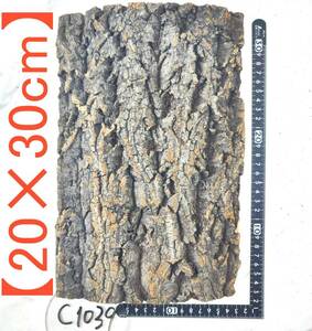c1039[20×30cm] cork . leather cork board bar Gin cork drilling / free shipping chi Ran jia staghorn fern put on raw Ran amphibia reptiles staghorn fern 