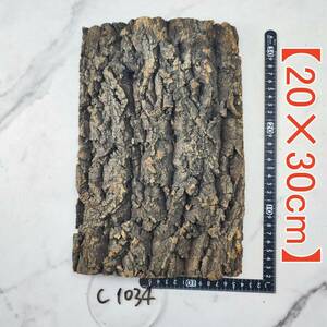 c1034[20×30cm] cork . leather cork board bar Gin cork drilling / free shipping chi Ran jia staghorn fern put on raw Ran amphibia reptiles 