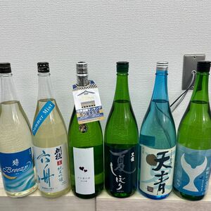 夏酒セット Y11　一升瓶6本　各蔵の最新詰め又は飲み頃のお酒　