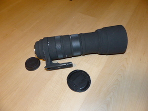 キャノン AF SIGMA APO 150-500㎜ F5-6.3 HSM フード付