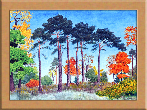 松の木 風景画 A4 スウェーデン
