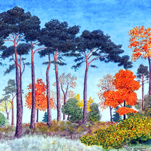 松の木 風景画 A4 スウェーデン_画像3