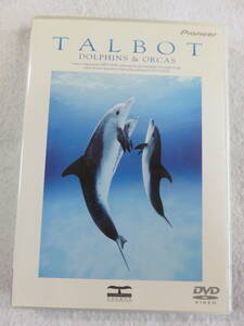 ドキュメンタリーVD『TALBOT　DOLPHINS ＆ ORCAS　ボブ・タルボット』セル版。海洋ビデオの名作。日本語字幕版。即決。