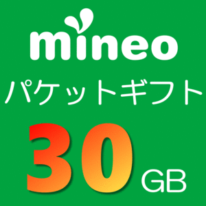 mineo マイネオ パケットギフト 約30GB(9999MB×3＝29997MB)