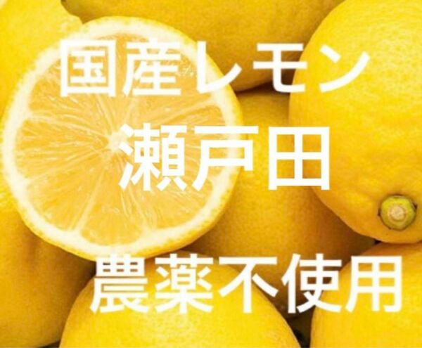 国産瀬戸田レモン農薬不使用
