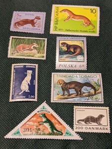 ■同梱可　イタチなど　消印無し　未使用切手　海外古動物切手　８枚