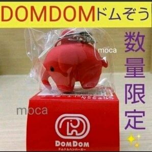 DOM DOM ドムドム 店舗完売品 数量限定 ドムぞうくん レッド BOX 入りキーホルダー どむぞう