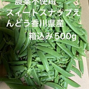 農薬不使用スィートスナップえんどう香川県産500g