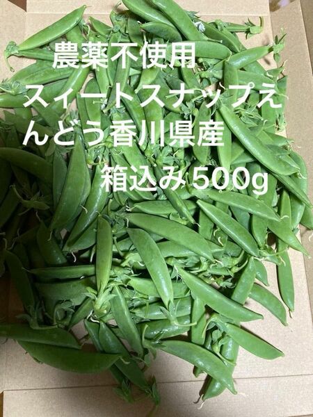 農薬不使用スィートスナップえんどう香川県産500g