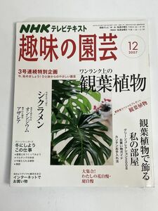 NHK趣味の園芸2007年12月号　観葉植物　2007年 平成19年【H76900】