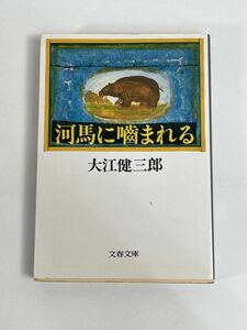 大江 健三郎 河馬に噛まれる 文春文庫　1994年 平成6年【H76884】
