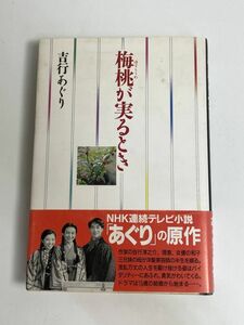 梅桃が実るとき 吉行あぐり 文園社 エッセイ NHK連続テレビ 不良少年 借金 女学校 弁護士 美容院 親子関係 生懸命　1997年 平成9年【H77392