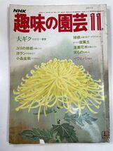 NHK趣味の園芸 1983年11月号　大ギク・ユリ・洋ラン・小品盆栽【H78452】_画像1