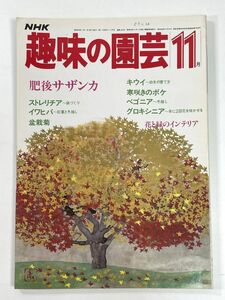 NHK趣味の園芸 1984年11月号　肥後サザンカ・ストレリチア・盆栽菊【H78456】