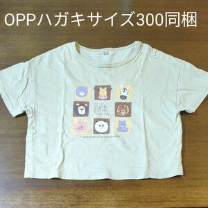 半袖　Tシャツ　95cm　OPP袋　フタ付き　テープ付き　静電防止テープ　300枚　ハガキ　写真　透明袋　ラッピング袋