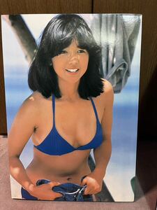 宮崎美子 木製パネルポスター