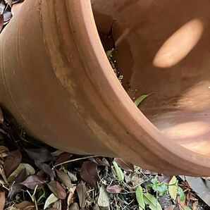 植木鉢 大きい 直径53センチ 引き取り限定の画像3