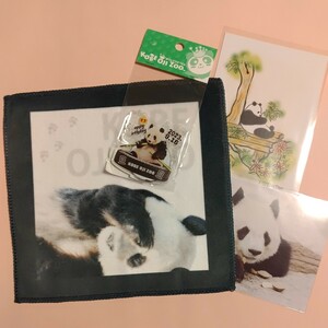  Tintin .. zoo . walk Tintin towel postcard 28 -years old . birthday acrylic fiber stand Panda Pandaja Ian to Panda 