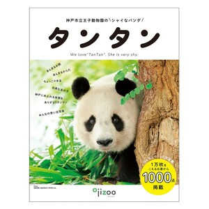 タンタン　王子動物園　神戸市立動物園のなパンダ　/ シャンシャン　シャオシャオ　レイレイ　パンダ　Panda　ジャイアントパンダ