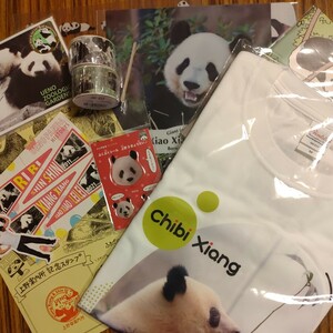  car n car n car o car o Ray Ray goods Panda itself Ueno three .. limitation T-shirt .... seal official trout te clear file 