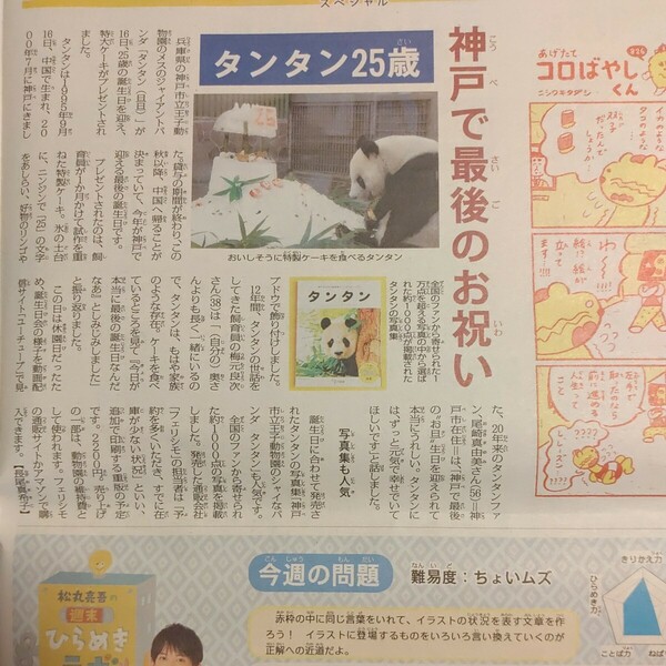 タンタン　2020年9月18日　毎日小学生新聞　記事　タンタン25歳　神戸で最後のお祝い　パンダ　ジャイアントパンダ　王子動物園